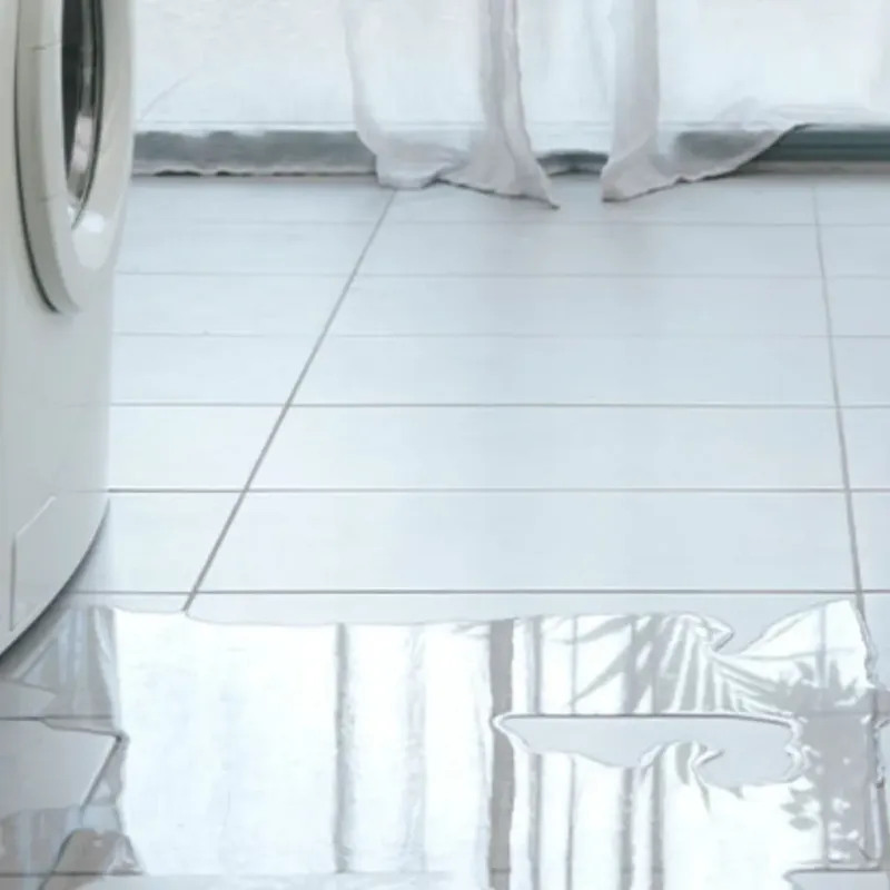 Appliance Leak Cleanup in Maharishi Vedic City, IA