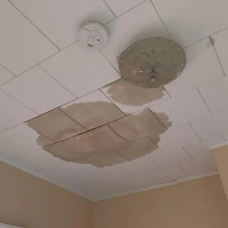 Ceiling Water Damage Repair in Maharishi Vedic City, IA