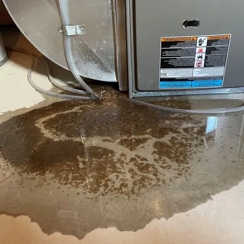 Pipe Burst and Leak Restoration in Maharishi Vedic City, IA